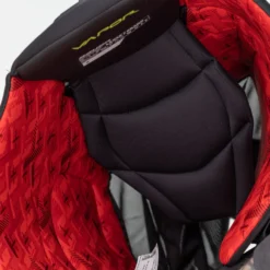 Bauer Vapor Velocity Senior Hockey Pants -Bauer bauer hockey pants bauer vapor velocity senior hockey pants 29084701917250